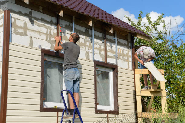 Best Siding Painting and Refinishing  in Kingwood, WV