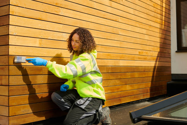 Best Vinyl Siding Installation  in Kingwood, WV