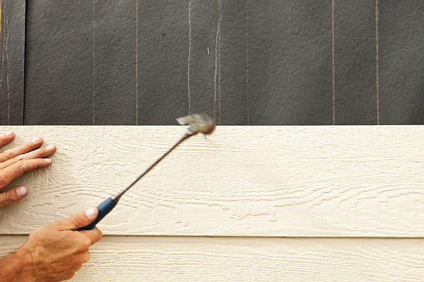 Best Stone Veneer Siding  in Kingwood, WV